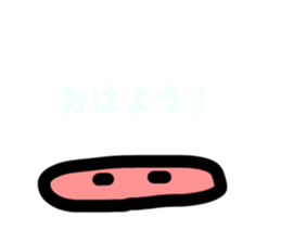 537392312