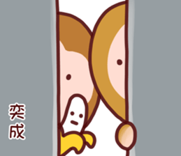 537397481