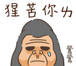 537421990