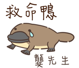 537428167