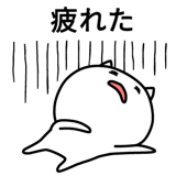 537443464