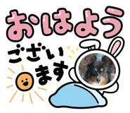 537447096