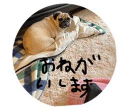 537453498