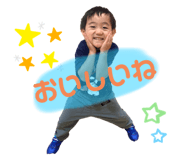 537499806