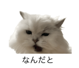 537499892