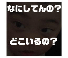 537508416