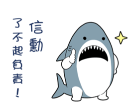537521556