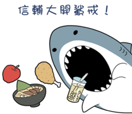 537521616