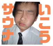 537524441