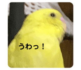 537529974