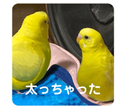 537529977