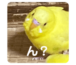 537529978