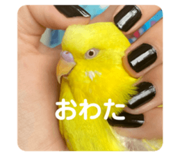 537529979