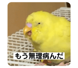 537529982