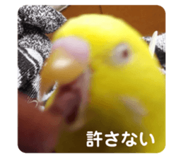 537529983