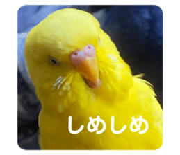 537529985
