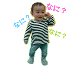 537532032