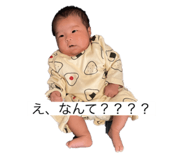 537536962