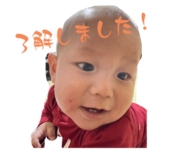 537542808