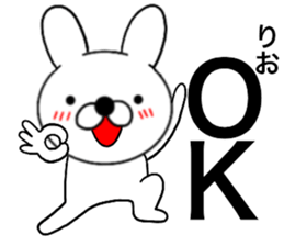 53755539