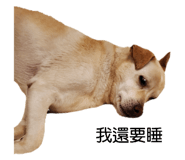 537564158