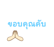 537565176