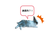 537569699