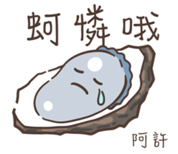 537582504