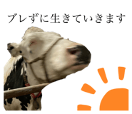 537587782