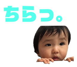 537600540