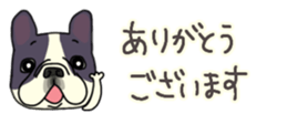 537605038