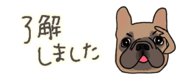 537605039