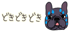 537605043