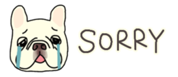 537605044
