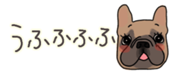 537605047