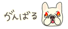 537605049