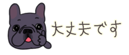 537605052