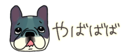 537605053