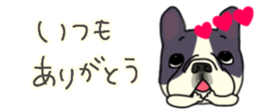 537605057