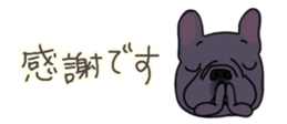 537605058