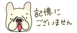 537605060