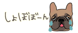 537605061