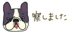 537605062