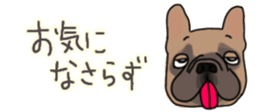 537605063