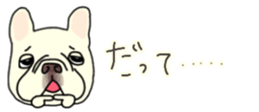 537605065