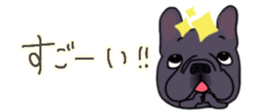 537605066
