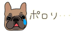 537605075