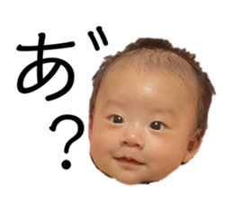 537654507