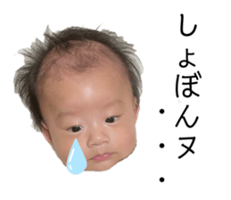 537654526