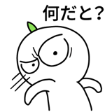 537669766